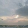 fifi_4n