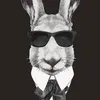 mrrabbit20139