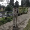 donnfrt