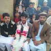 mehmoodmahmood0