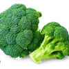 brocco.li69