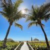 palmtrees.sun.sand