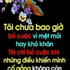 user379602590