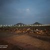 mohammedmohammedm36