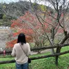 sachihanh
