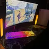 solo_zidexx