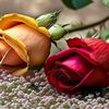 hossamjaber0