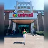 user191409.r