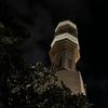 syed__174