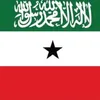 catlover20somali
