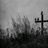 datosehistorias_creepy