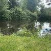 toby_rotchell
