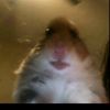 kcire__xdxdxd