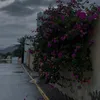 kh_.s00