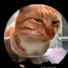 kitakiarimoto