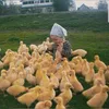 _karaz97