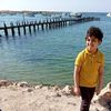omar.hanfy7
