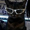 bill_rdn