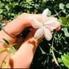 user940314241
