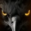 skinwalker01