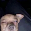 is_she_ykno
