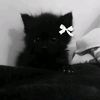 hecle_6352
