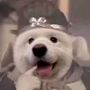 huynhtanson1351255807
