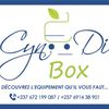 Cyndi Box