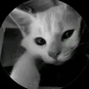 .ngthaomy