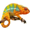 brownchameleon