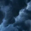 tamuraski