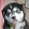 tatiana_23_121