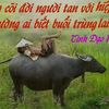 vanthu019