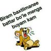 hazan7000
