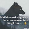 constantinescujangabrie