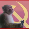 schmungus_