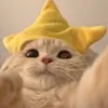 utsiasia