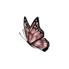 _._butterfly.._