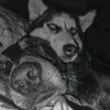mischlingundseinhusky