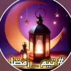 omarbassem26
