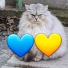 Evil_Busya