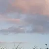 alleahtumbaga
