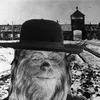 emil006_