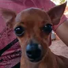 diegodeoliveirabrandao