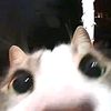 thegamingaddiction0