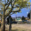alex_vsx19