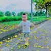 van_khang_2
