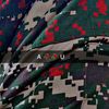 frontier_corps_sog
