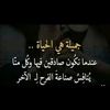 abu_fesal22