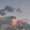 cj_23_________